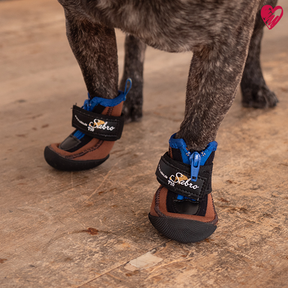 Pfotenschuhe für draußen