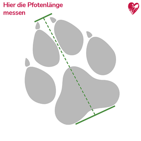 Universal-Pfotenschutz hoch