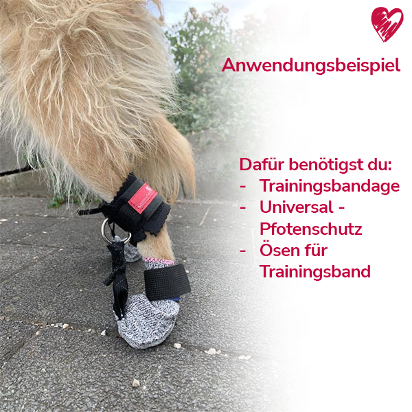 Trainingsbandage